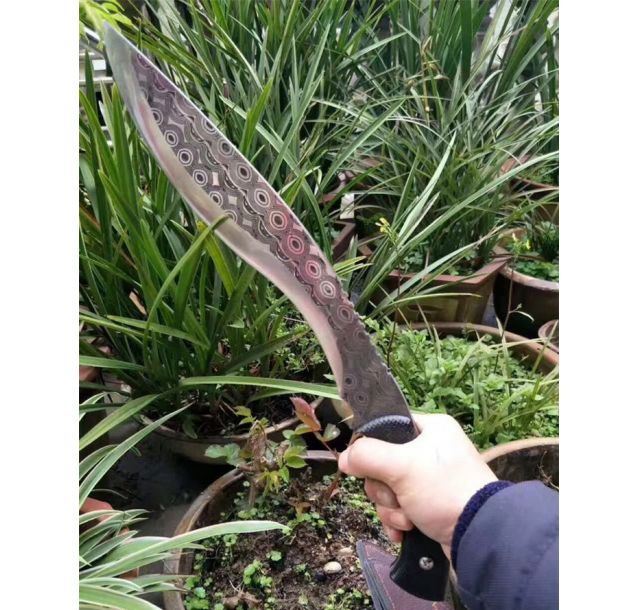 新款天眼狗腿