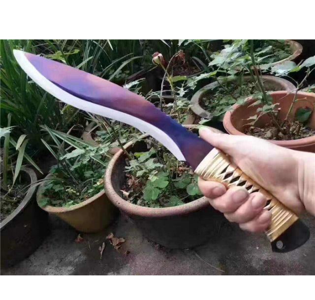 天狼二代