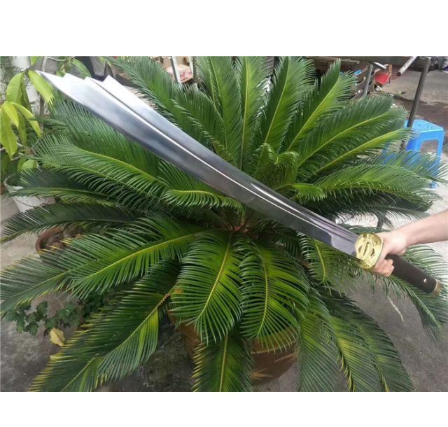 龙战爆款